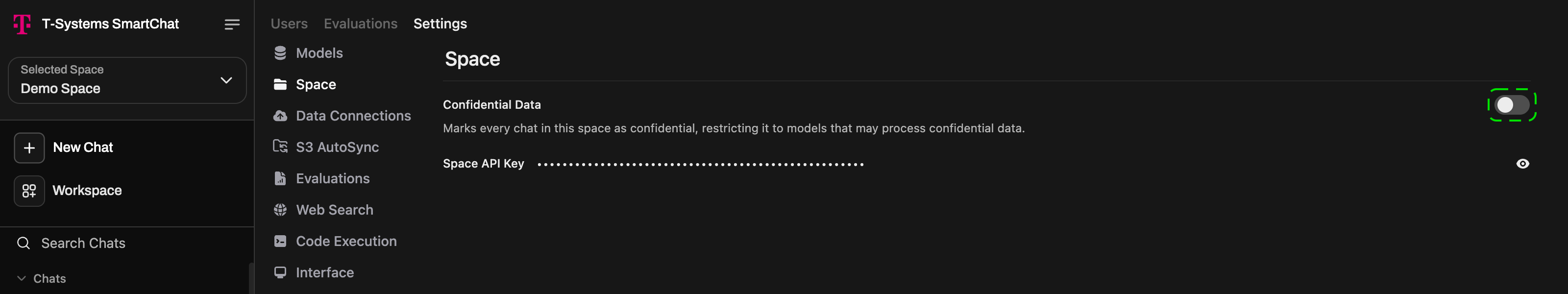 Space tab with the Confidential Data switch and the Space API Key field